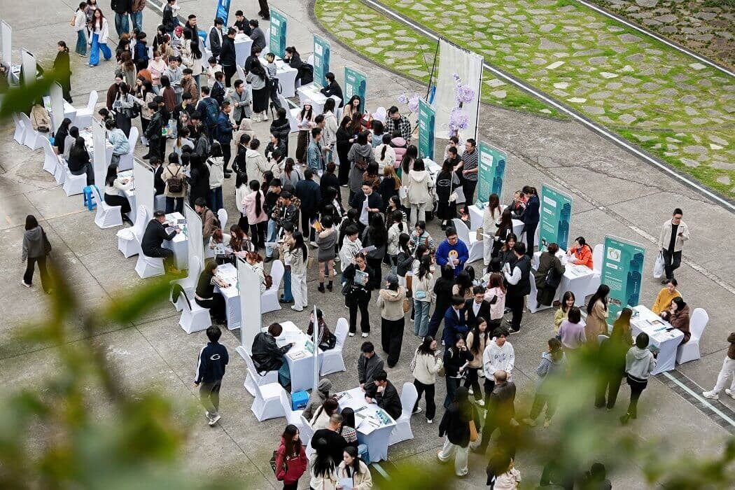 双选会交流现场